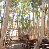 Getting hitched outside between the trees